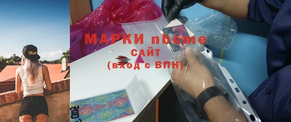 стаф Алзамай