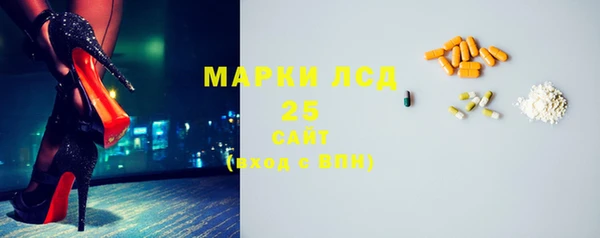 стаф Алзамай