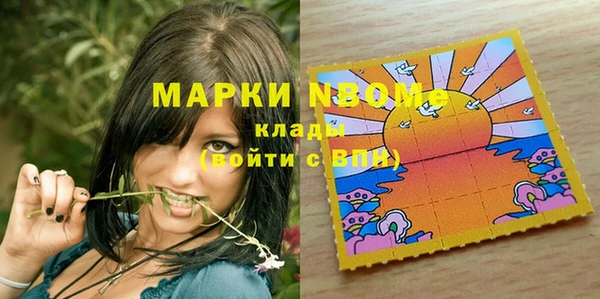 стаф Алзамай